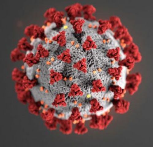 EMERGENZA Corona virus (COVID 19)